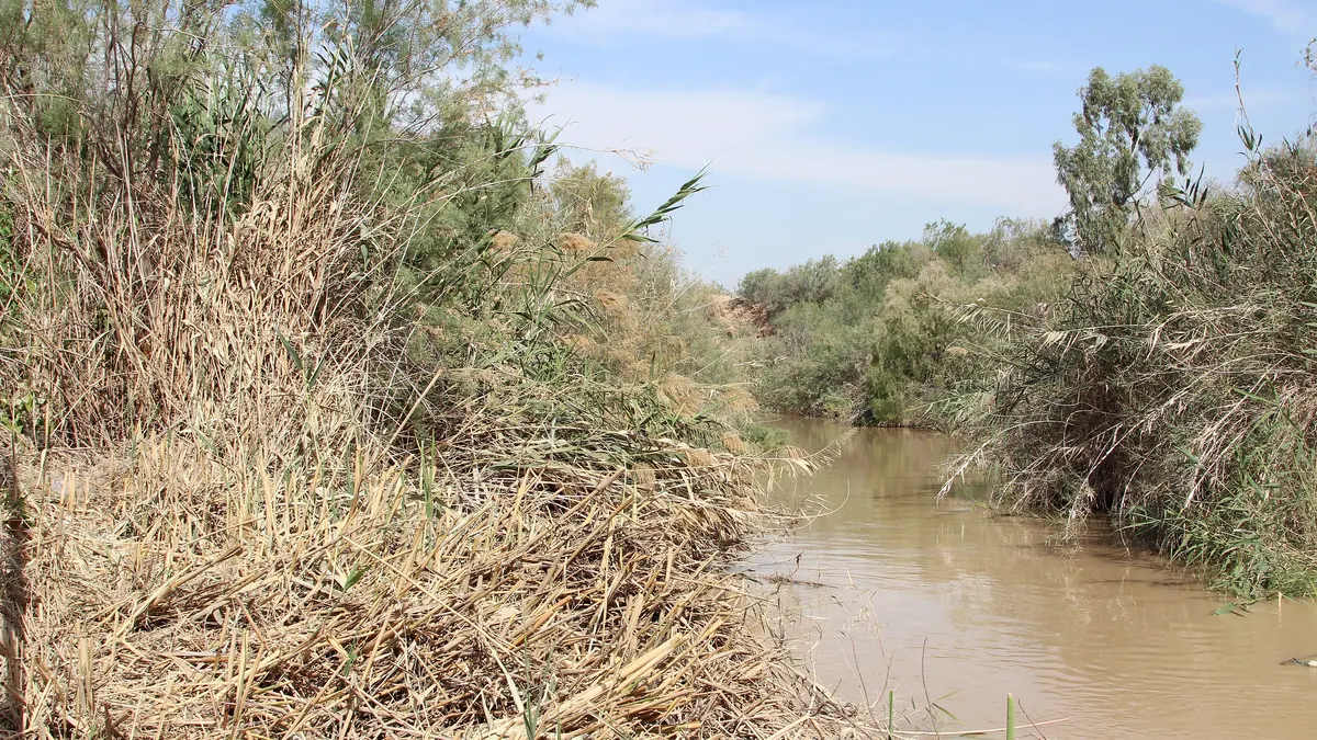 The Jordan River at Qasr al-Yahud, the traditional site of the baptisms performed by John